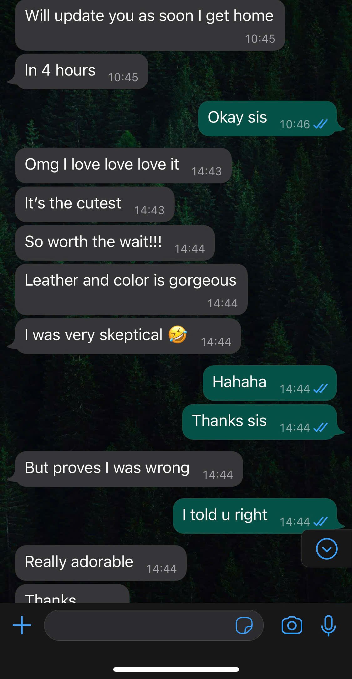 Review from Happy Customer