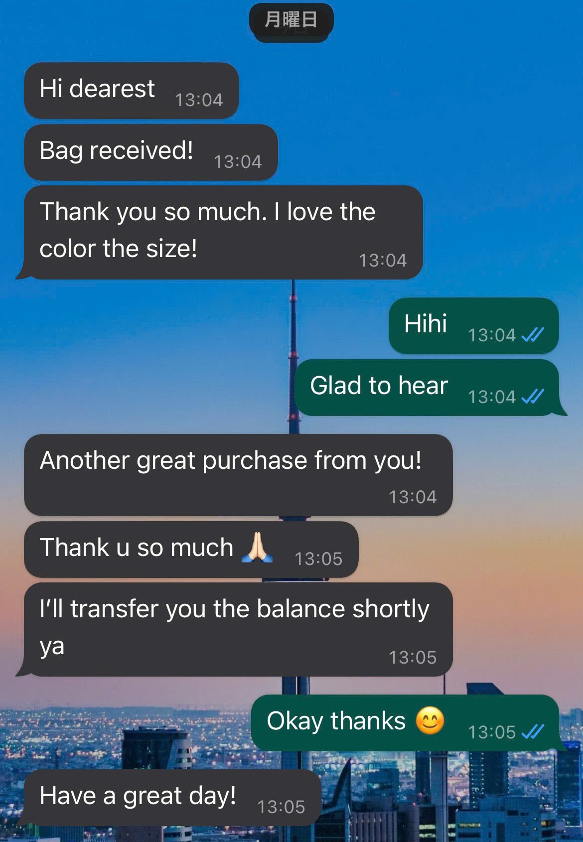 Review from Happy Customer